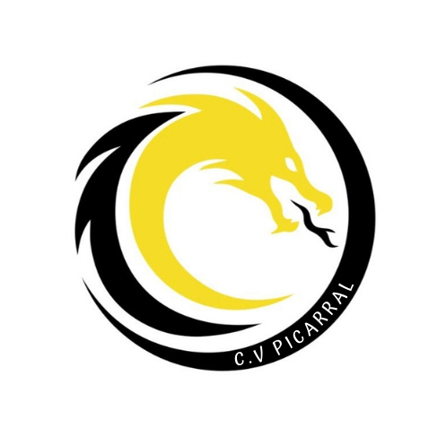 CLUB VOLEIBOL PICARRAL