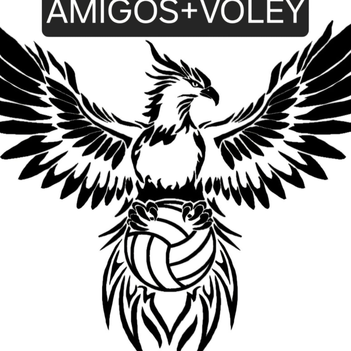 AMIGOS+VOLEY