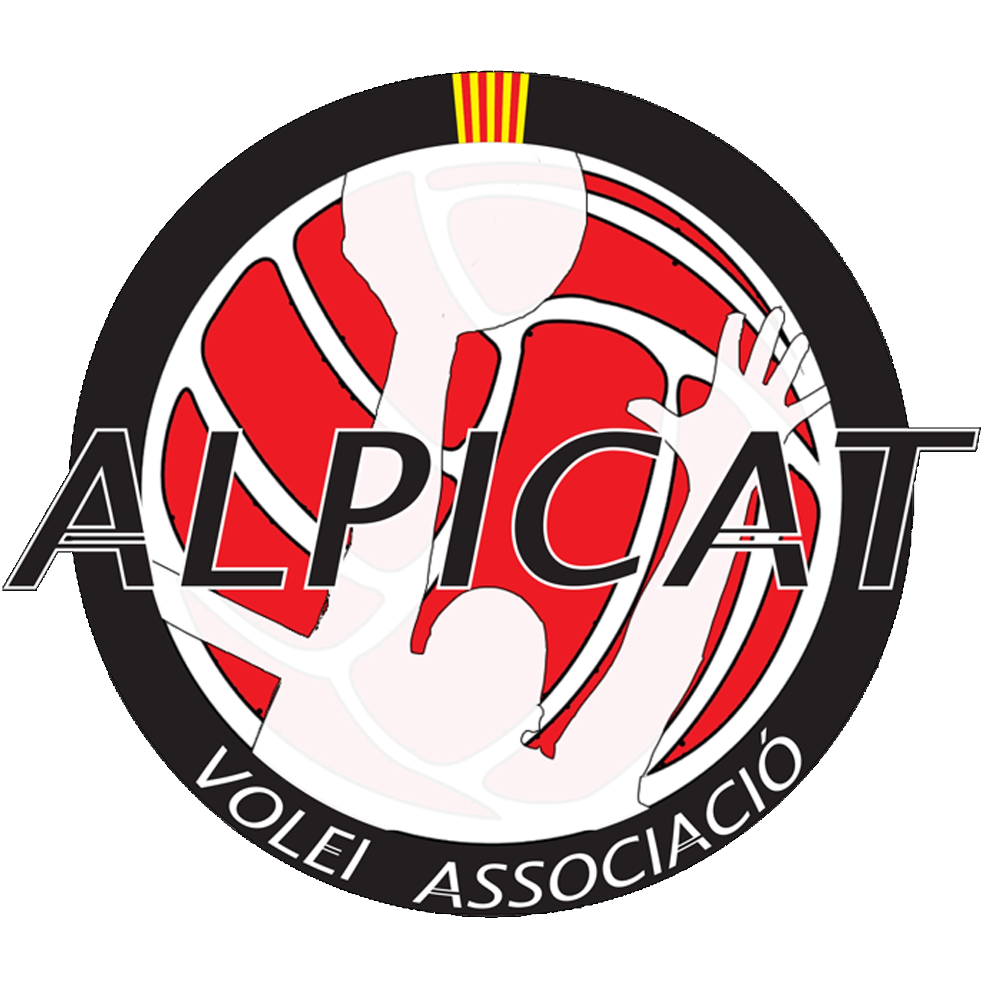 Alpicat Vólei Associació