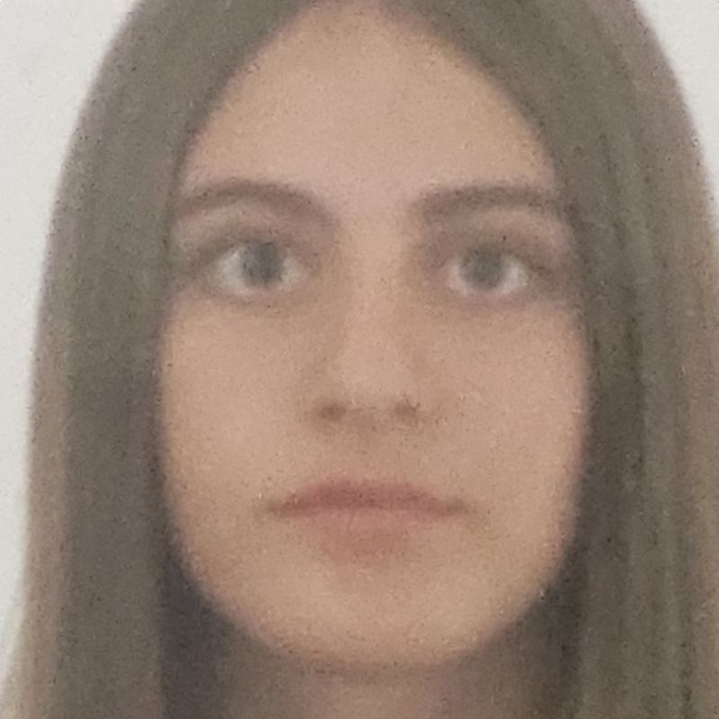 MIREIA BERTRAN CASTILLO