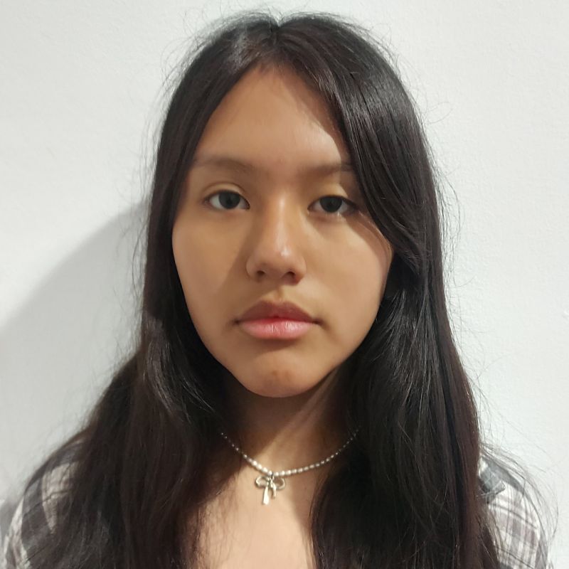 LAURA ROXANA VILLARPANDO FLORES