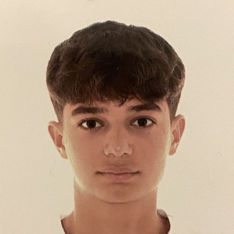 NIL HENRY MATHEWS SANT