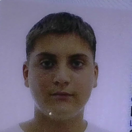 DAVID CRISTIAN ZAINEA