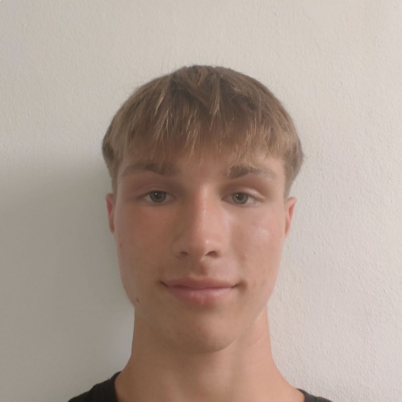 ARTEMIY MAKSIM CASTELLA IVANENKO