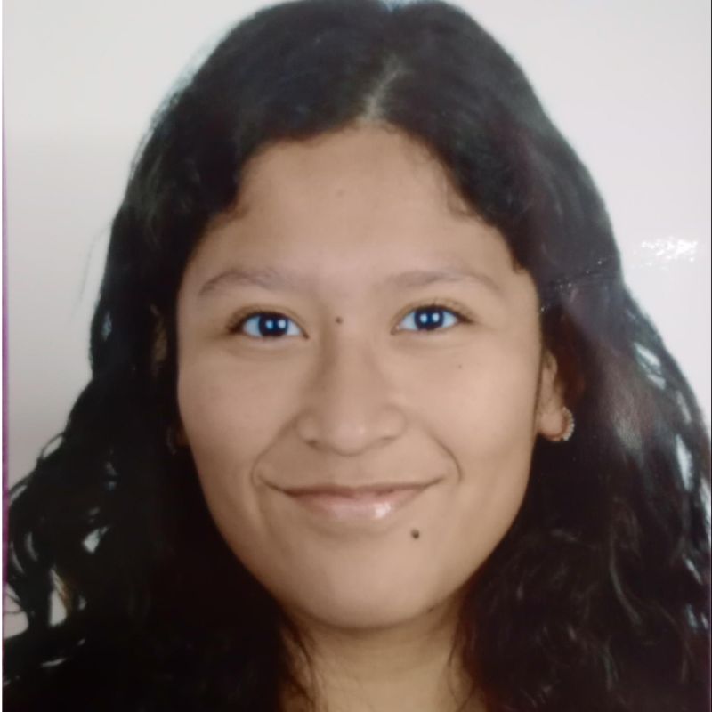 ALISON SUDARIO BERROCAL