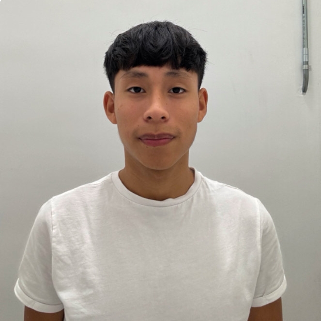 LUIS GIORDANO ALI ALVINO ARCOS