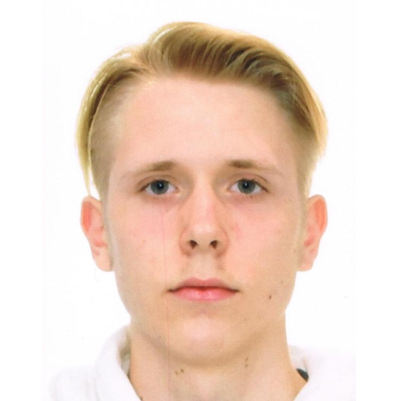 LEVIN GRUBER