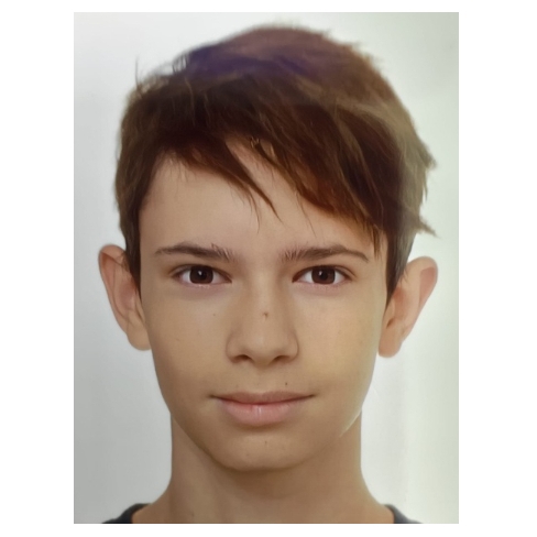 ALEXANDRE AMELA SANS