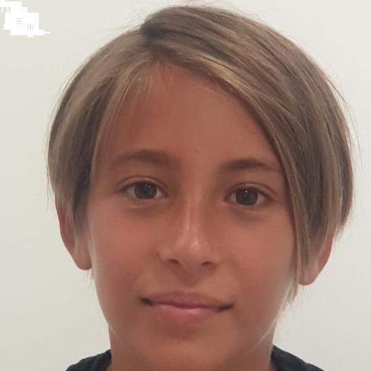 ALEK STEVOVSKI MISHEVA