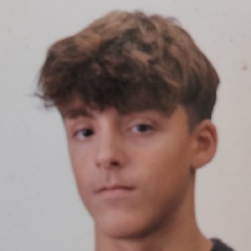 BERNAT FURONES I CODINA