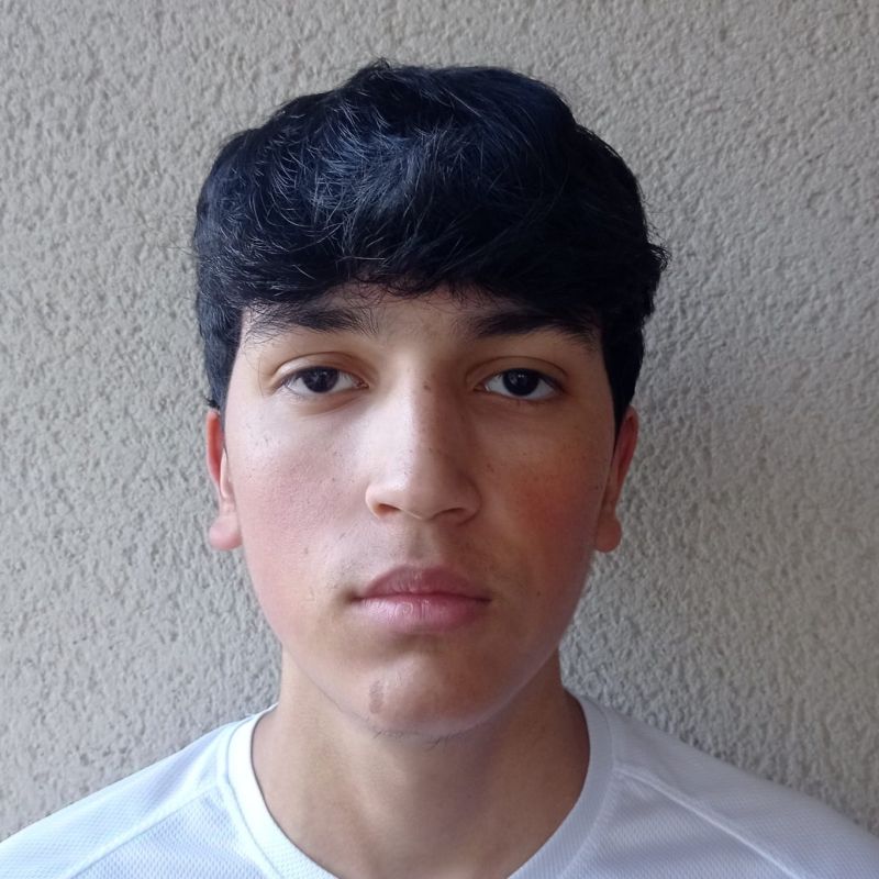 CARLOS ELIAS ARDILA DOSIL