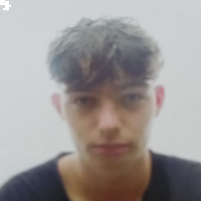 BLAÏ SILVESTRE GAMBRELLE
