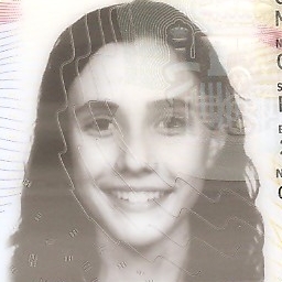 GEMMA GARCIA MONZONIS