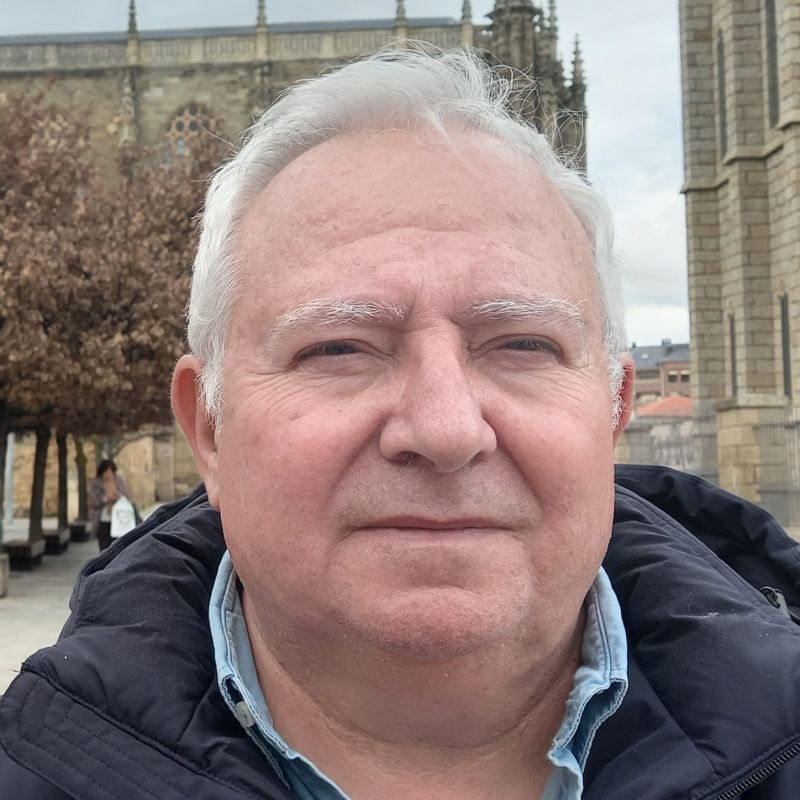 FRANCISCO LUIS PELLICENA CLAVERO