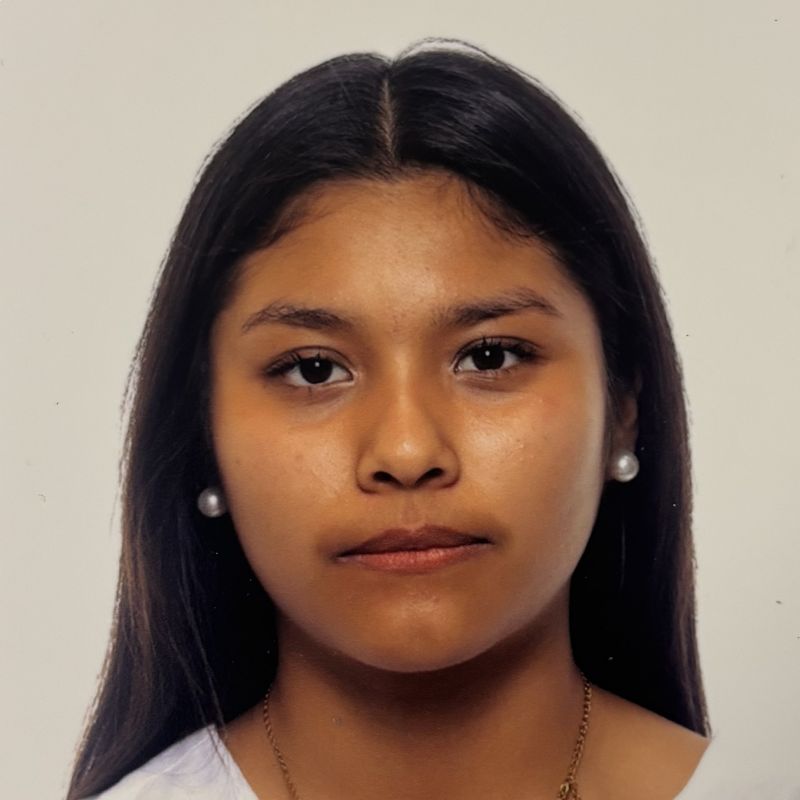IRENE GUZMAN SARAVIA