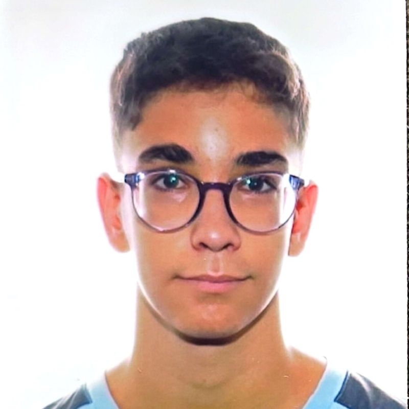 LLUC RESTOY ROVIRA