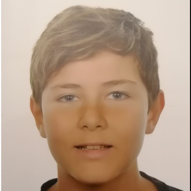 GERARD VILANOVA MONTERO