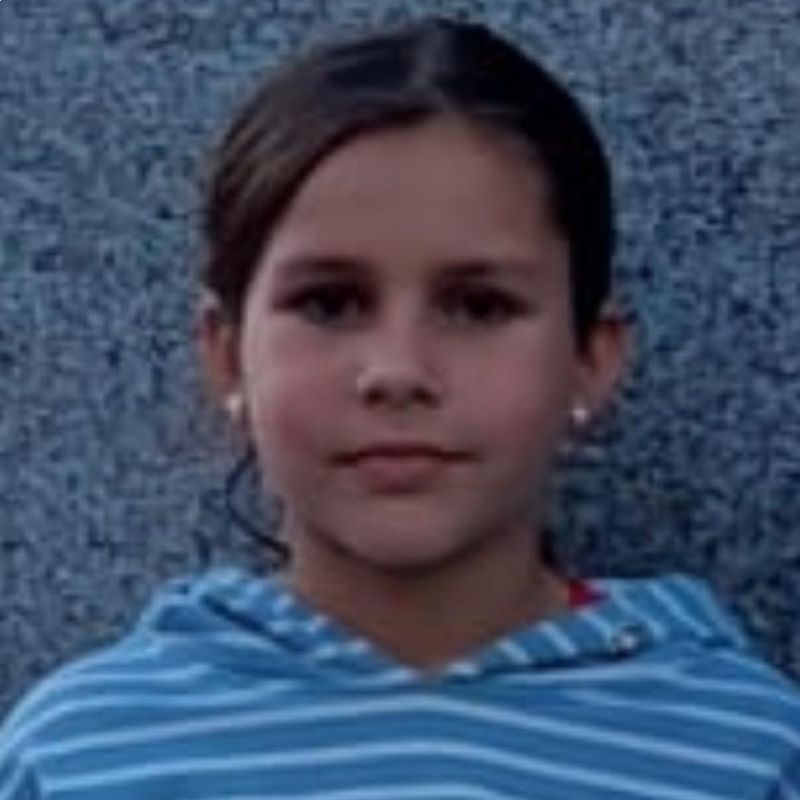 ALICIA MARTINEZ LLORENTE