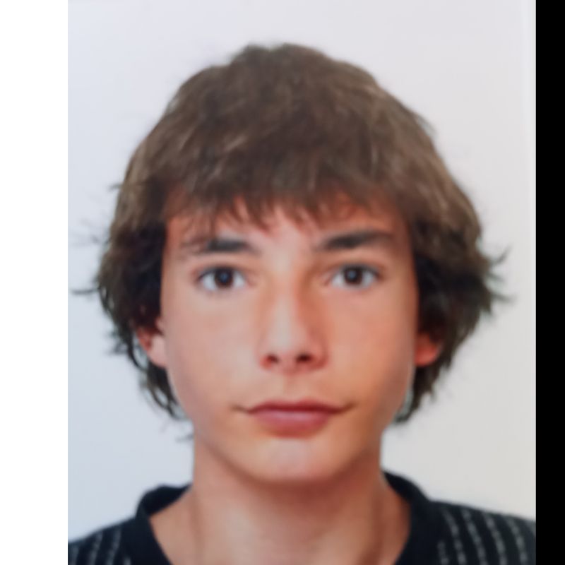 ERIK MASATS PERINI