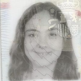 LAIA FERRANDO MARTIN