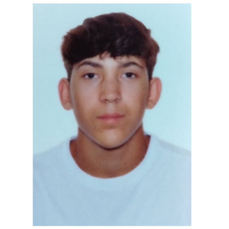 ALAN PERALES CABRAL