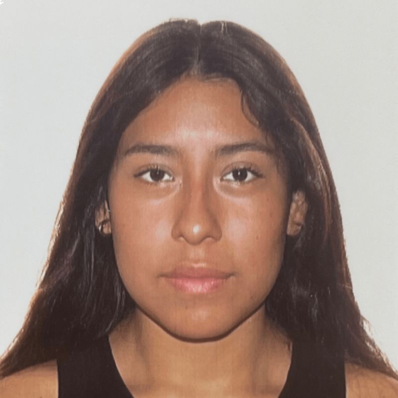 MARIA DEL MAR DIONICIO JULCA