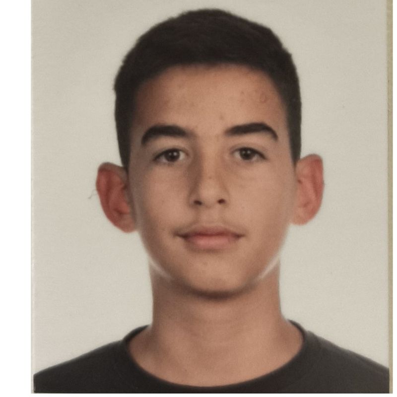 ALEJANDRO PUIG ROMERA