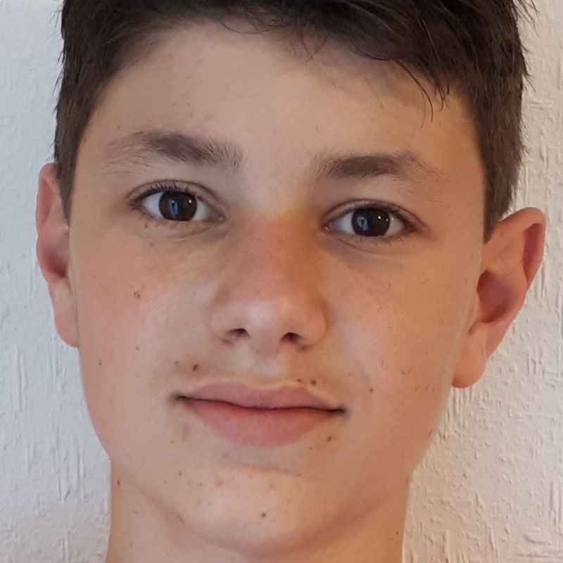 SERGI BATLLORI GARRIDO