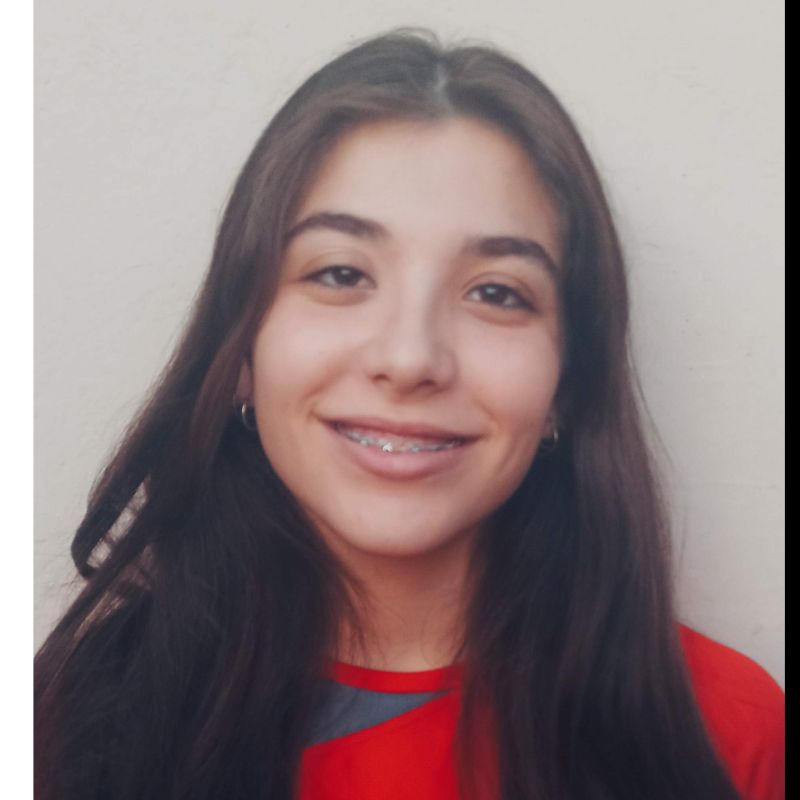IRINA TORRECILLAS SANCHEZ