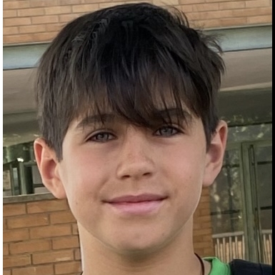 JORDI PIJUAN DOMINGUEZ