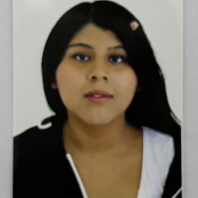 ROSAURA NICOL QUINTANILLA CHOQUE