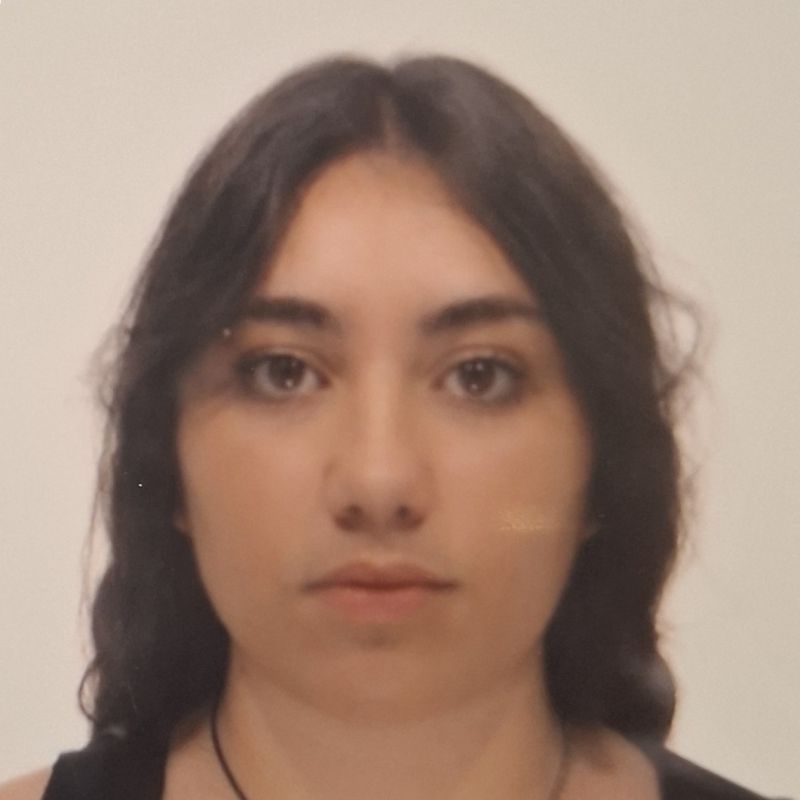 NICOL GRANDE PEREIRA