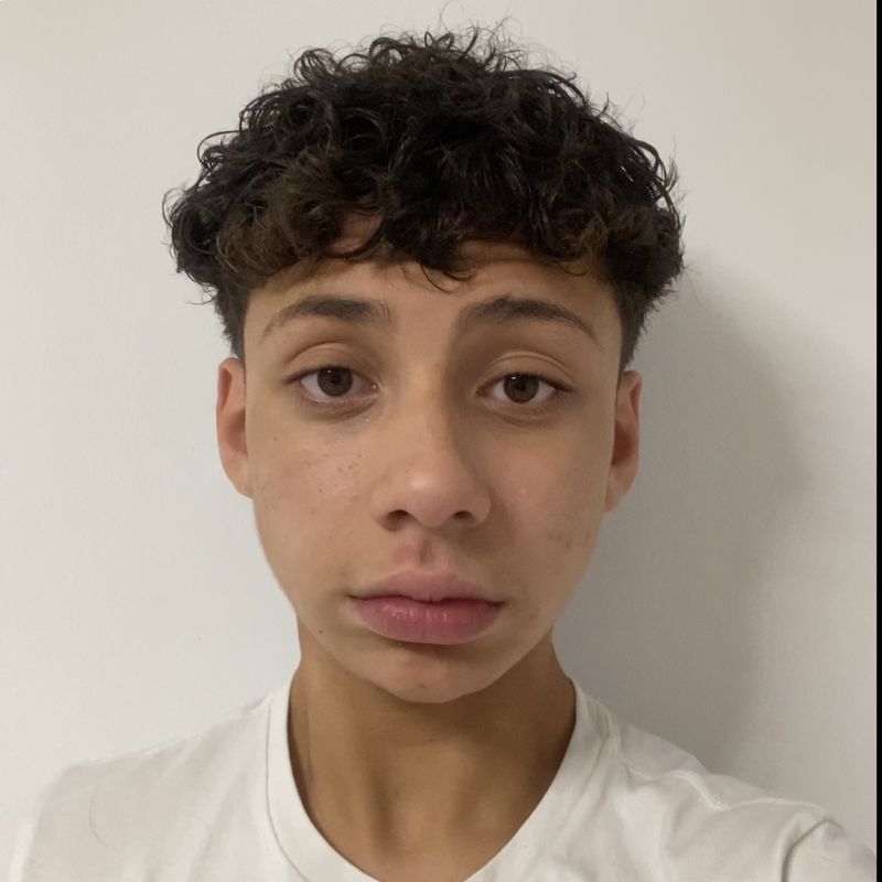 JOSE DAVID LAGOS BATRES