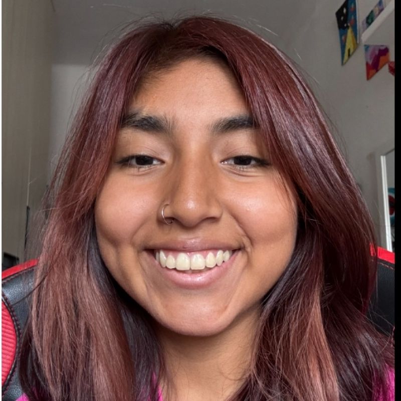 MILAGRITOS ORTIZ ANCHIRAYCO