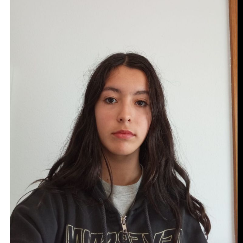 CECILIA VILLAVERDE PEREZ