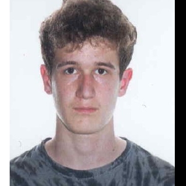 NICOLAS BERGUA NACHTIGAELLER