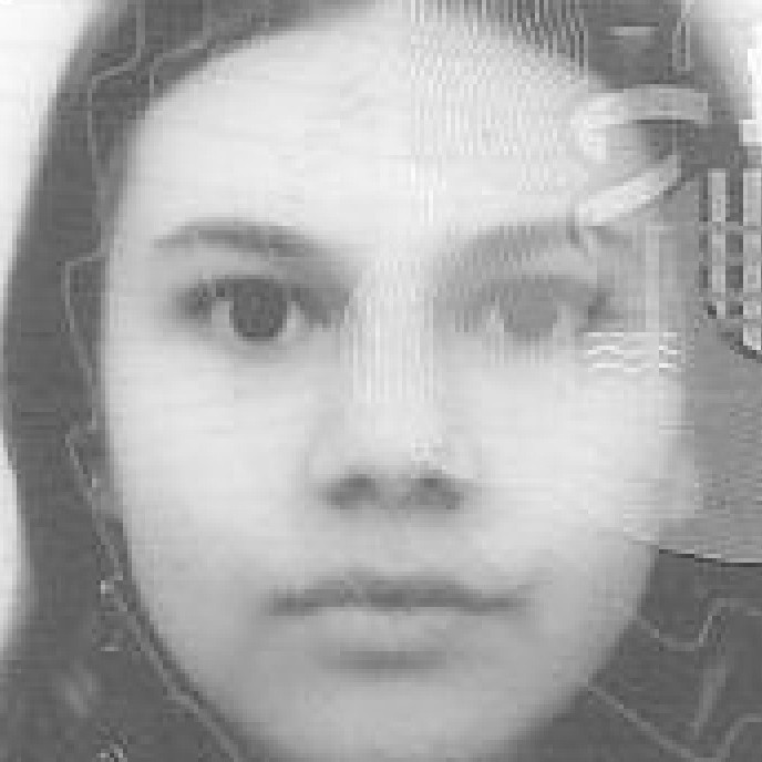 CLARA GEORGINA MARTINEZ CARMONA