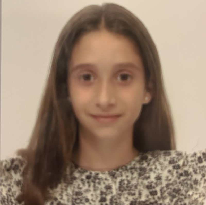 INES ESTEBAN COMIN