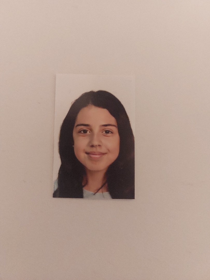 JULIA PUJOL RUIZ