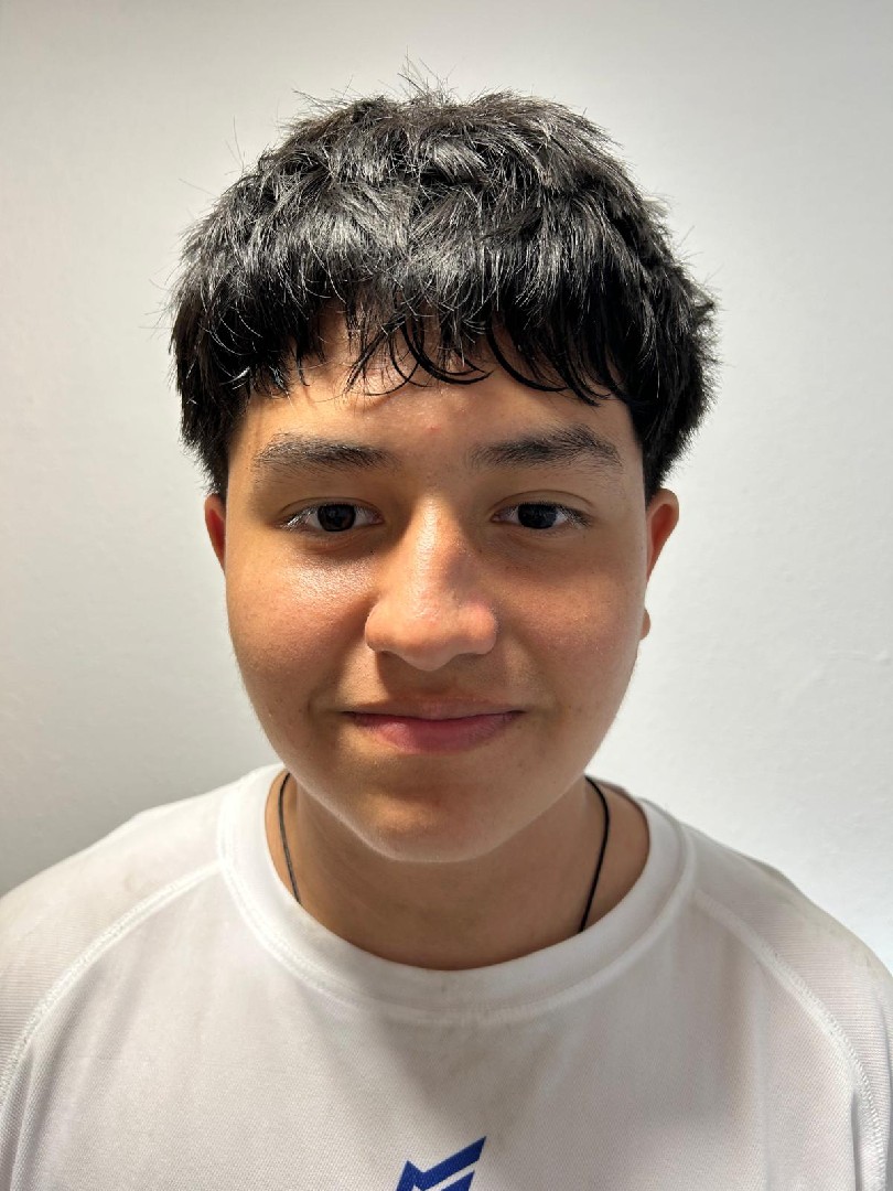 NICOLAS PERDOMO SANDOVAL