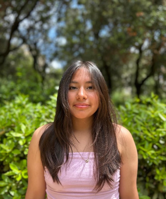 VIANEY HERBAS CHIPUNAVI