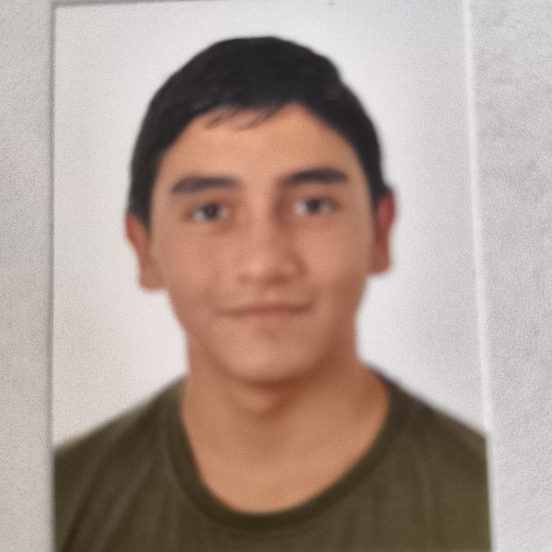 SERGI FLORES ALMIRANTE