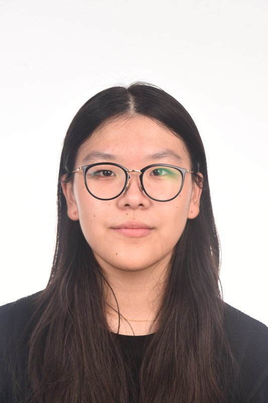 HUIYI WANG