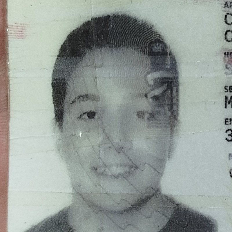 SERGI CIENDONES CAÑAMERAS