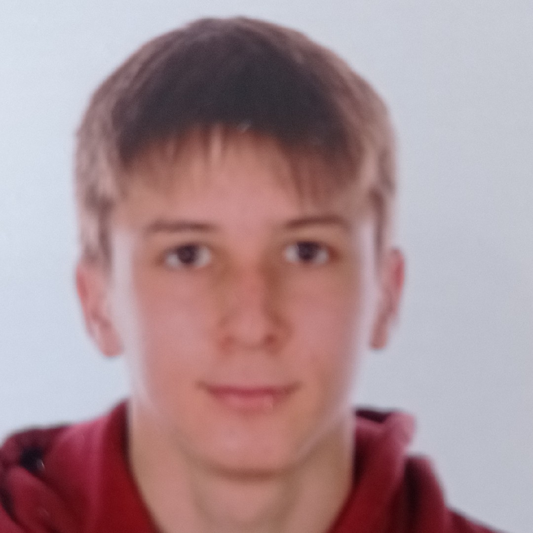 LLUIS DE BOLOS I PALOMINO