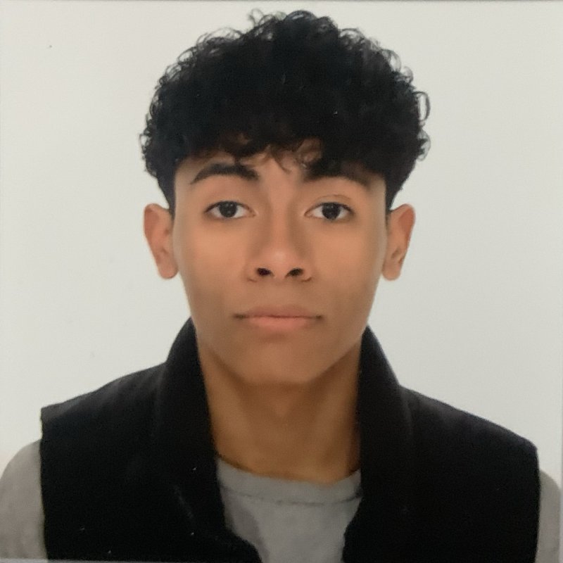 LUIS ALEJANDRO VILLARROEL ALFONZO