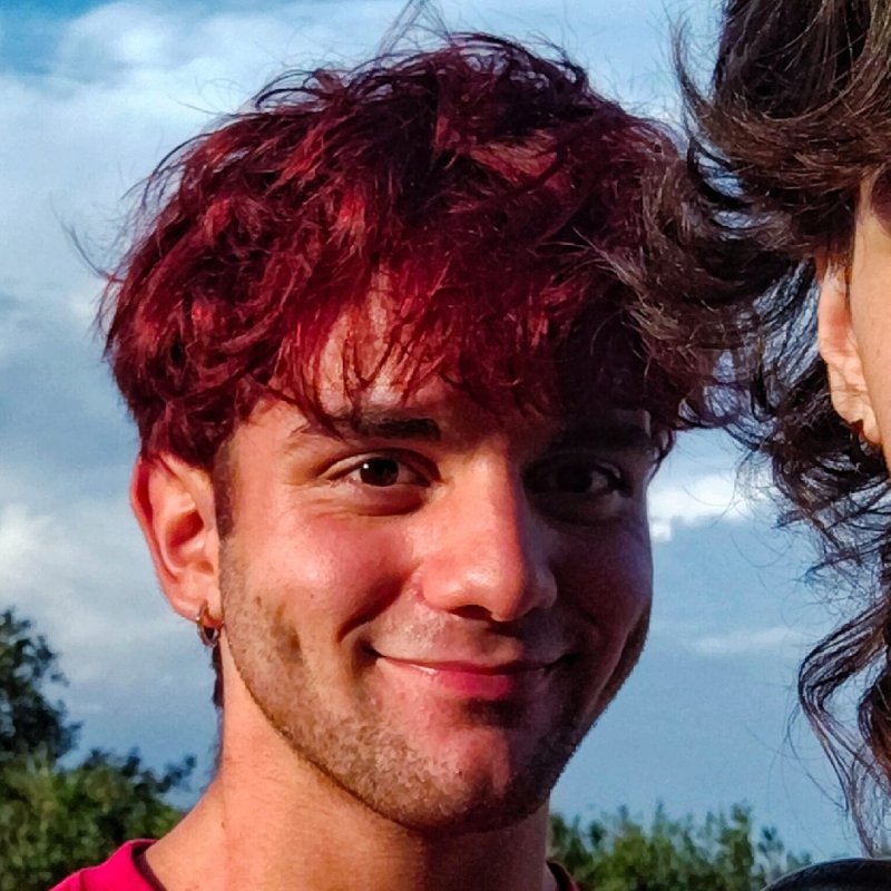 JOSEP GALLARDO VELLVEHI