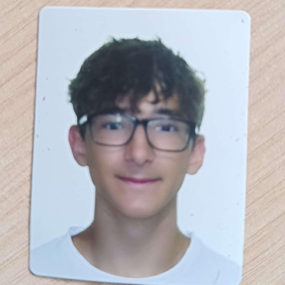 MARTI VILADRICH MARI