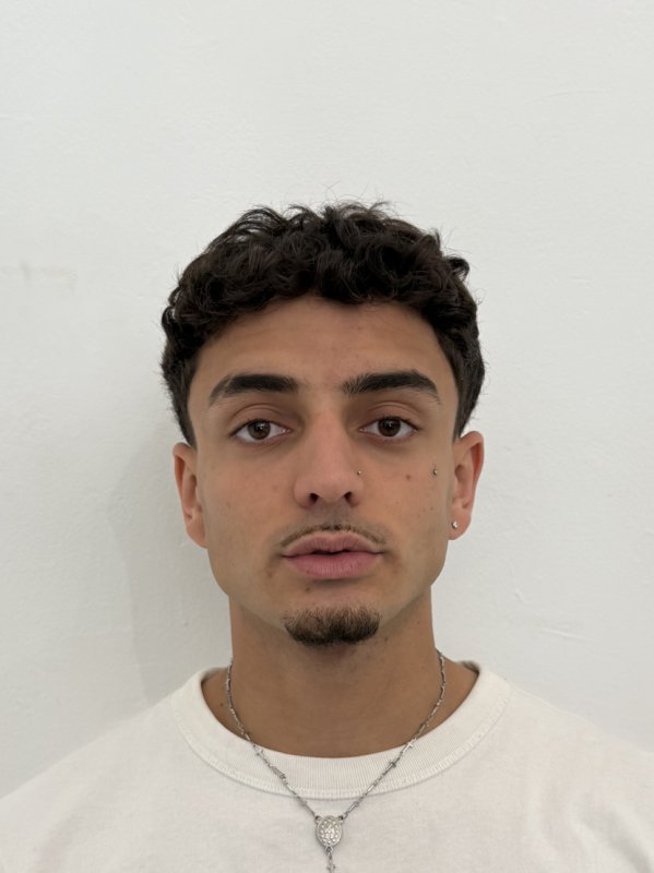 NICOLAS ARAUJO PATIÑO