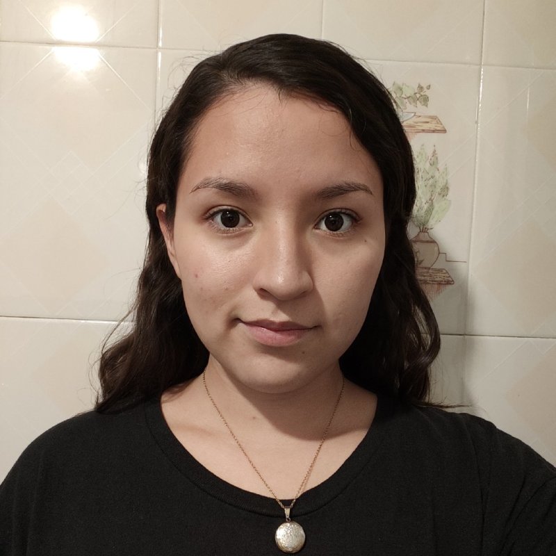 LUCIANA YESYCA CHAVEZ AYLLON